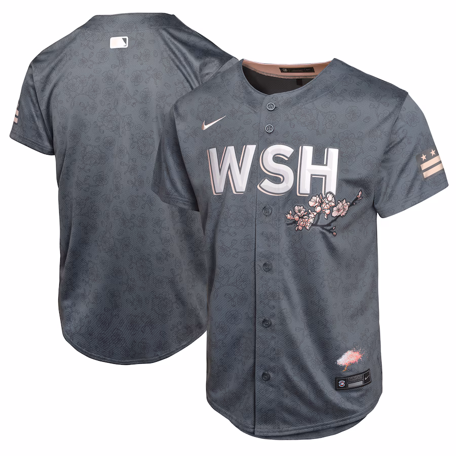 Youth Washington Nationals  Nike Charcoal City Connect Limited Jersey - Puhuasuan