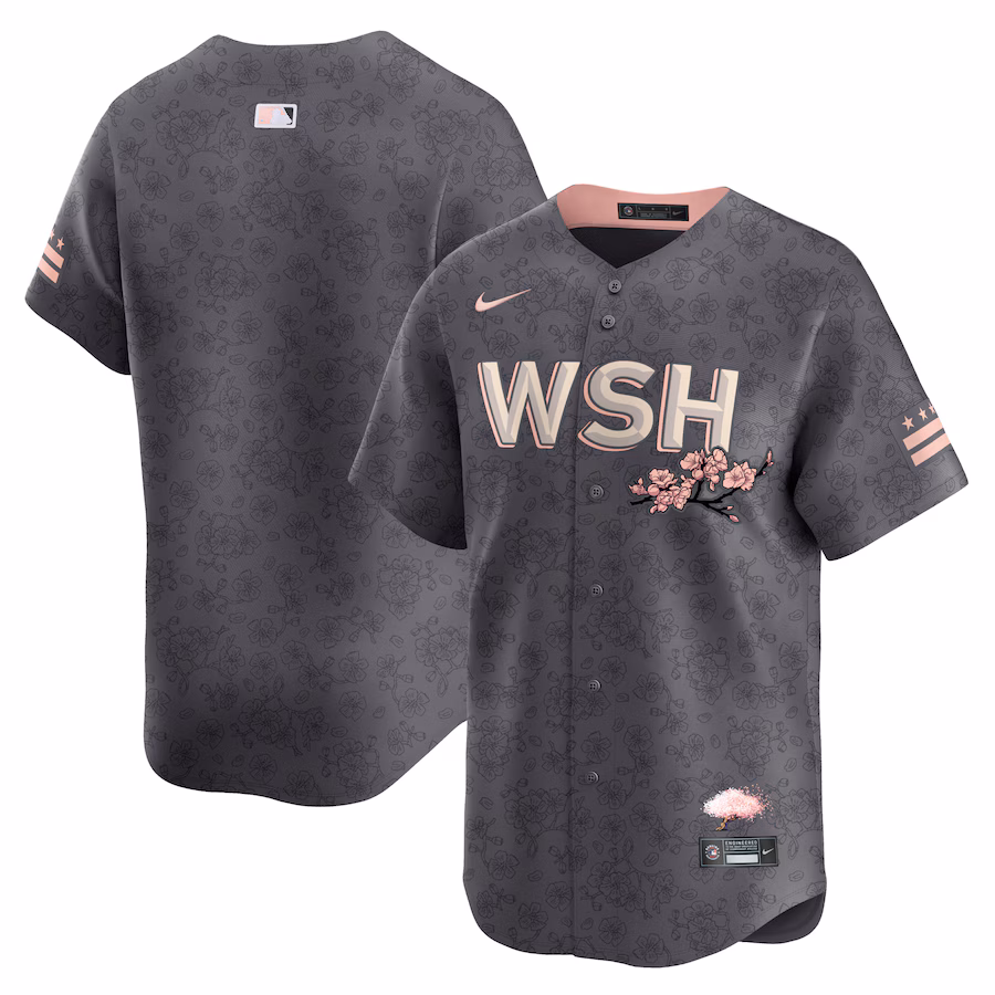 Men's Washington Nationals  Nike Charcoal City Connect Limited Jersey - Puhuasuan