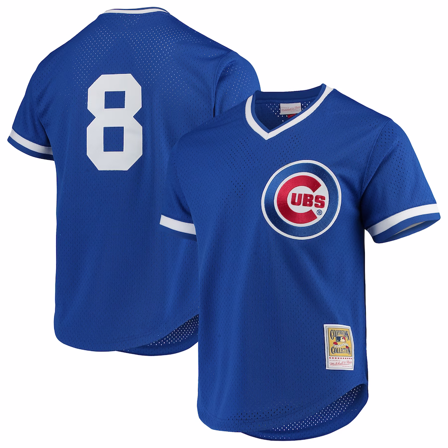 Men's Chicago Cubs Andre Dawson Mitchell & Ness Royal Cooperstown Collection Mesh Batting Practice Jersey - Puhuasuan